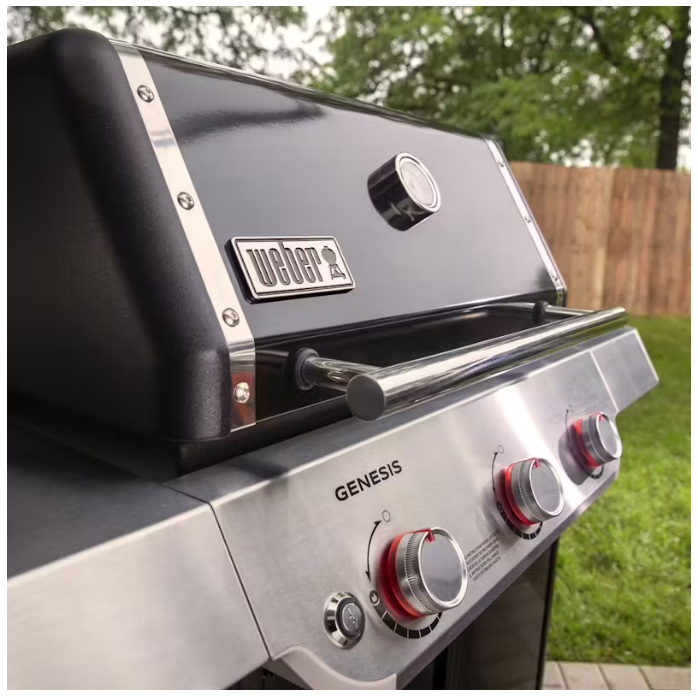 ASADOR DE GAS GENESIS E-315