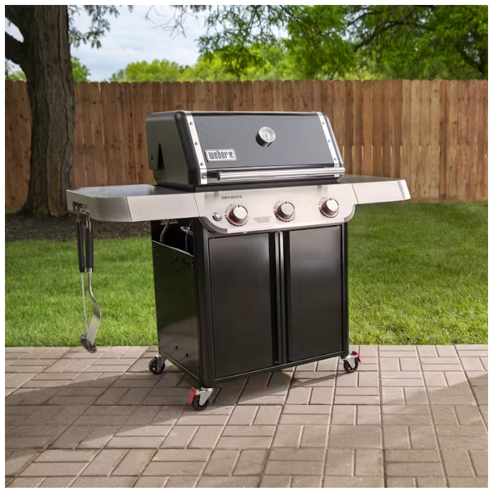 ASADOR DE GAS GENESIS E-315