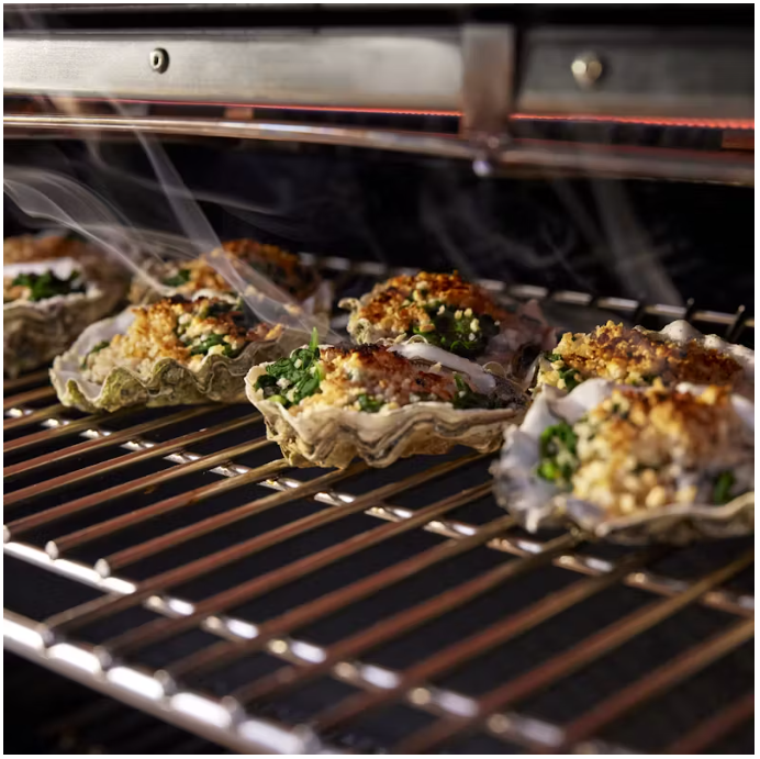 ASADOR DE GAS EMPOTRABLE SUMMIT SB38S