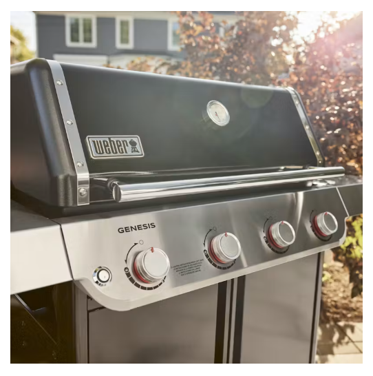 Asador de gas Genesis E-415