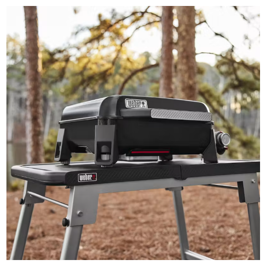 Plancha de sobremesa Slate™ de 43 cm (17")