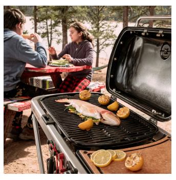 Asador portátil de gas Weber Traveler