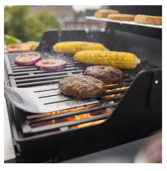 Asador de gas Spirit® E-210